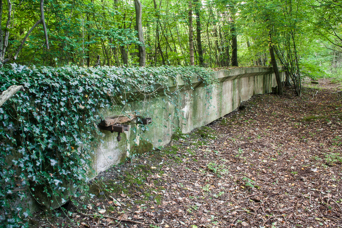 Part of the platform including carrier for service pipes and cables