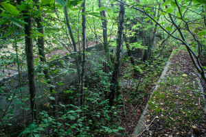 Trackbed with platforms either side