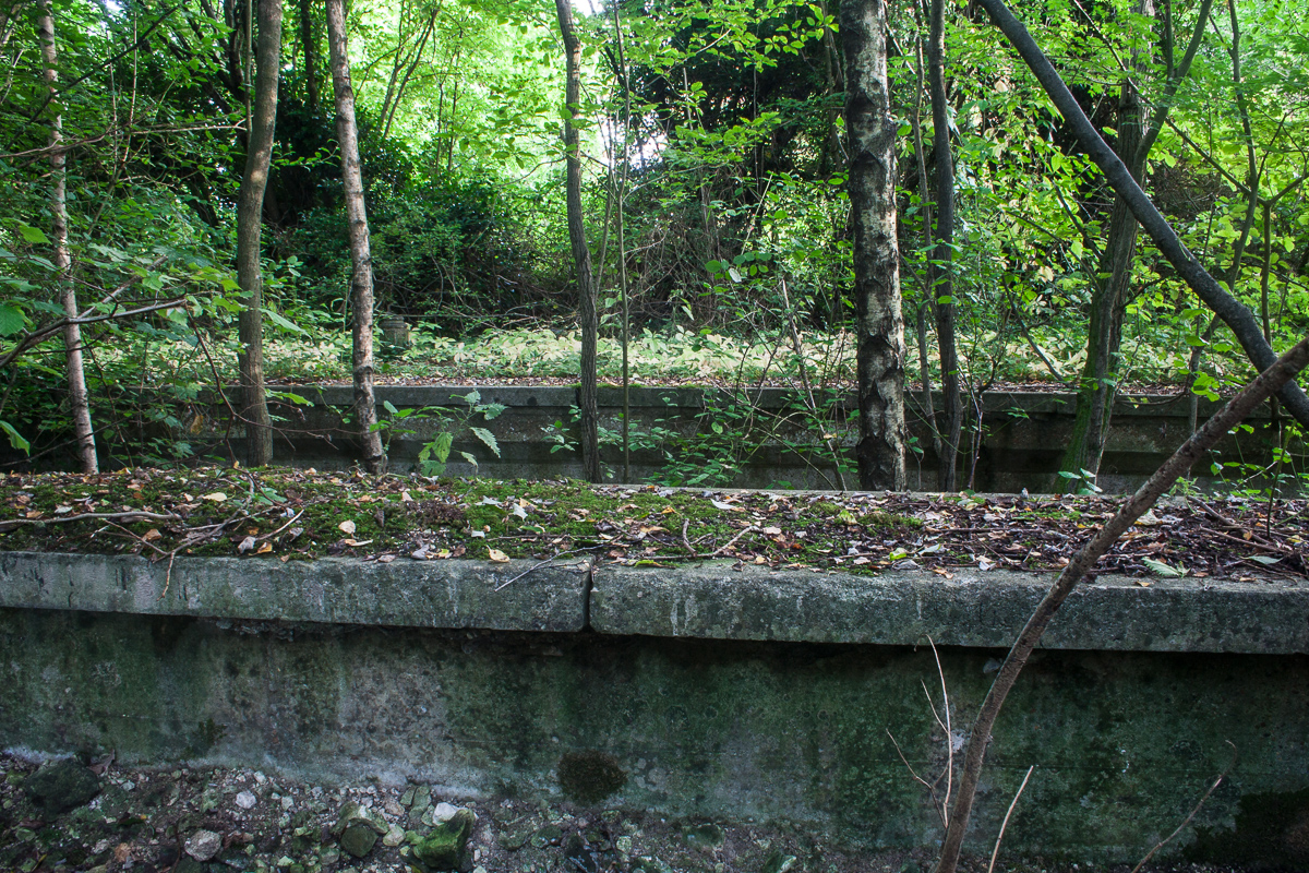 Looking across the platforms and trackbeds