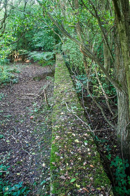 Looking along one platform support